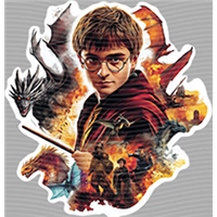 Harry Potter-HP 236